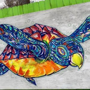 Meet your Posher, Kerry